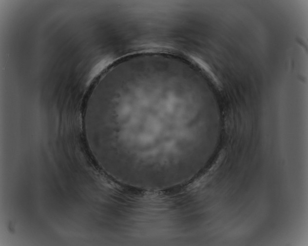 X0000093121267200709261321