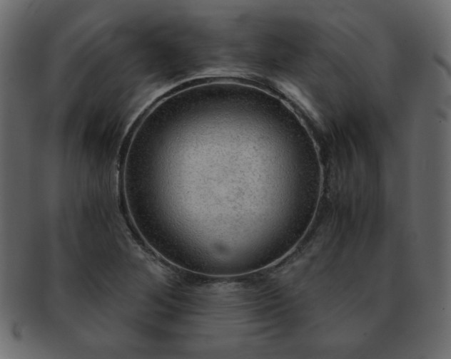 X0000093121268200709261321