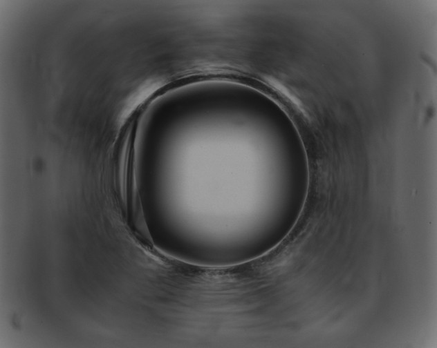 X0000093121269200709261321