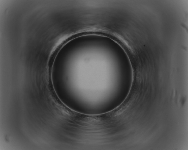 X0000093121270200709261321