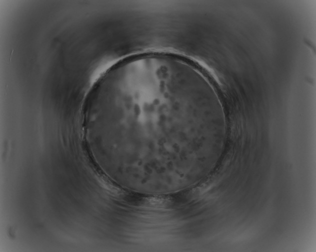 X0000093121271200709261321