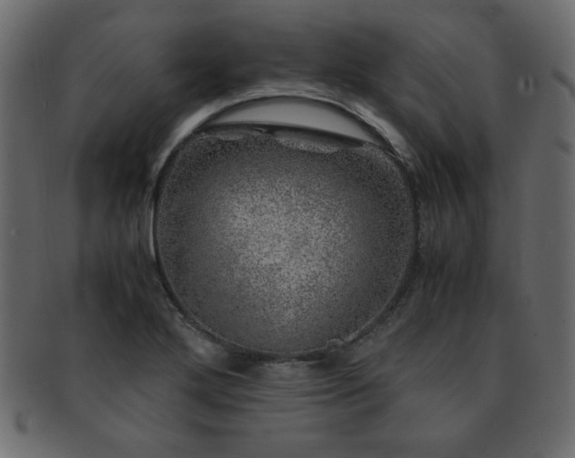 X0000093121272200709261321