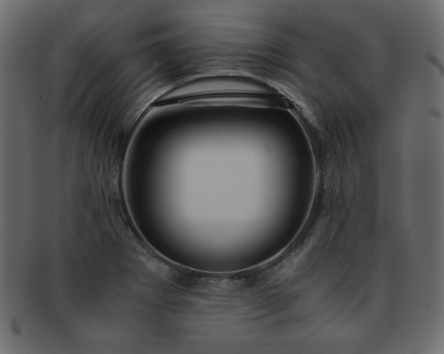 X0000093121273200709261321