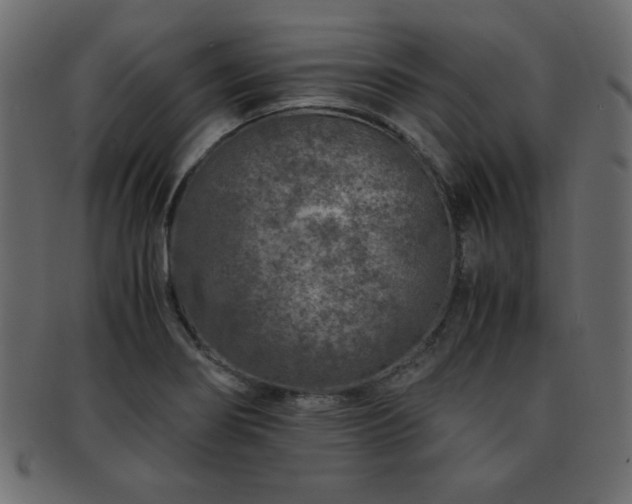 X0000093121274200709261321