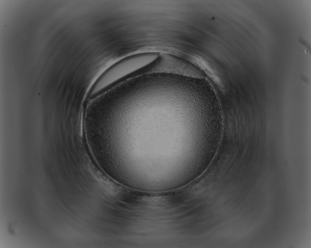 X0000093121276200709261321