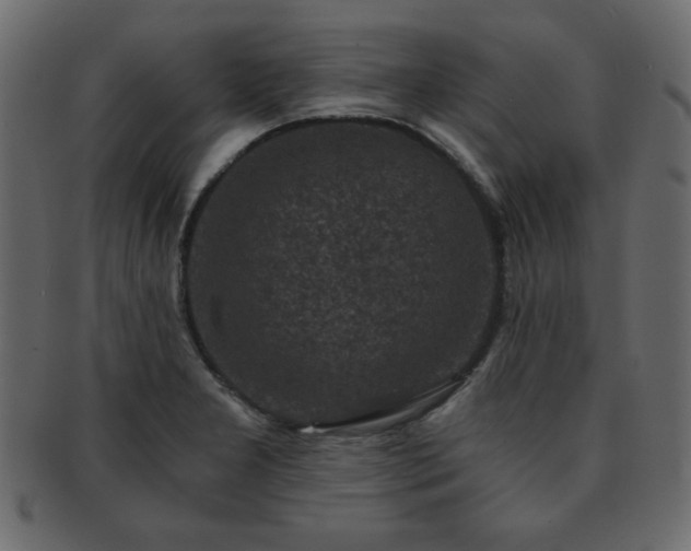 X0000093121277200709261321