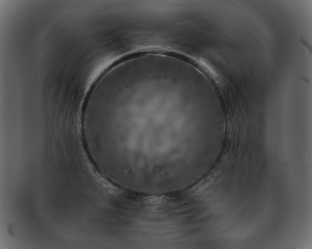 X0000093121279200709261321
