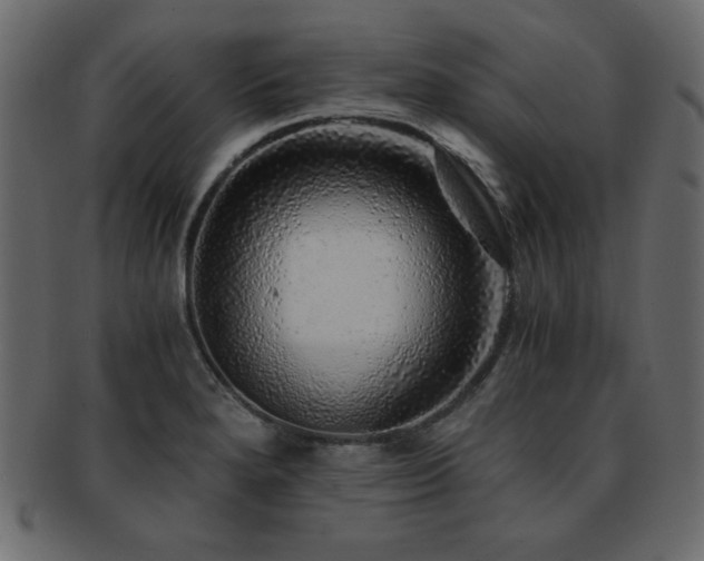 X0000093121280200709261321