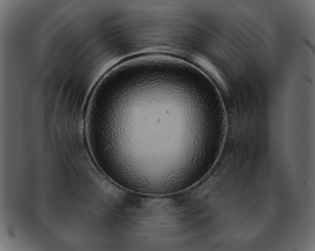 X0000093121284200709261320