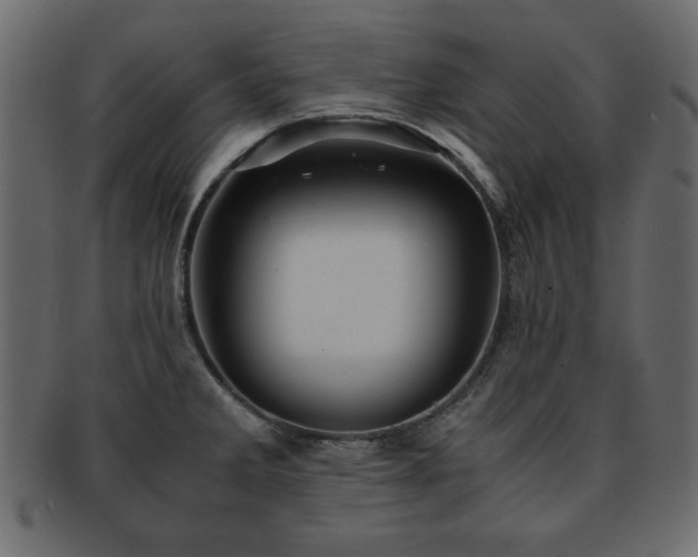 X0000093121285200709261320