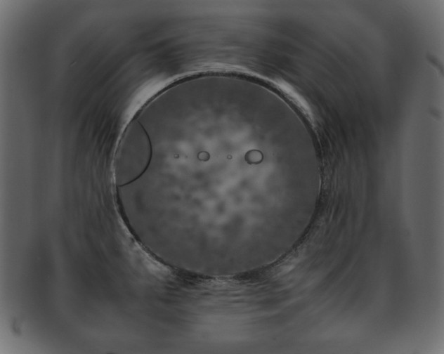 X0000093121287200709261320