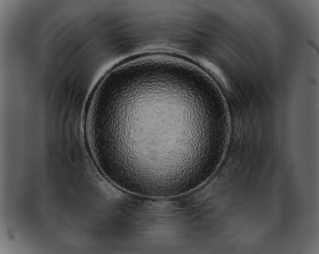 X0000093121288200709261320