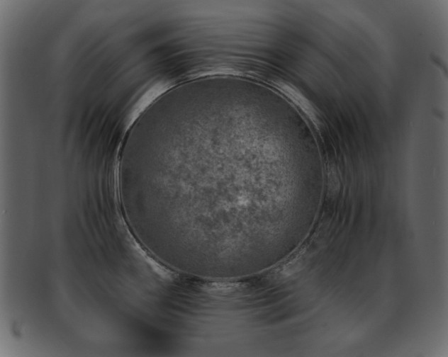 X0000093121290200709261320