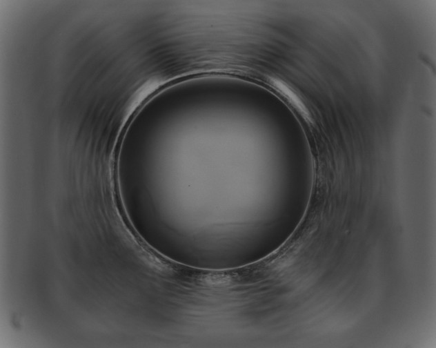 X0000093121291200709261320