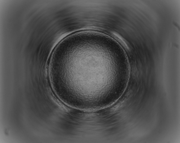X0000093121292200709261320