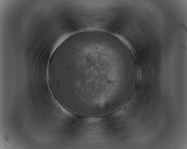 X0000093121294200709261320
