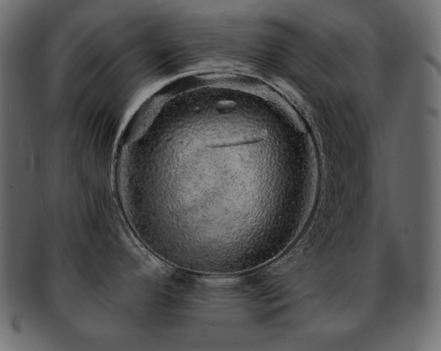 X0000093121296200709261320