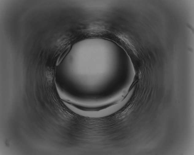 X0000093121300200709261320