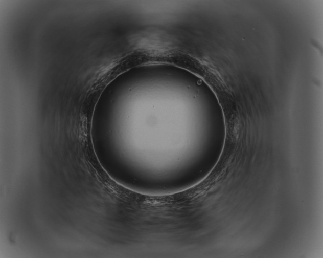 X0000093121301200709261320