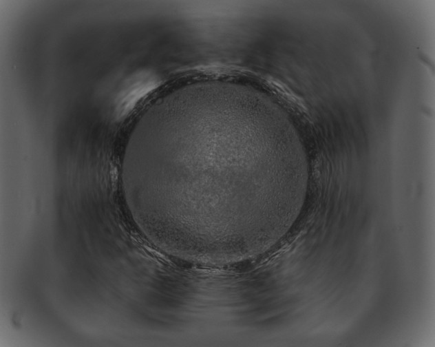 X0000093121302200709261320