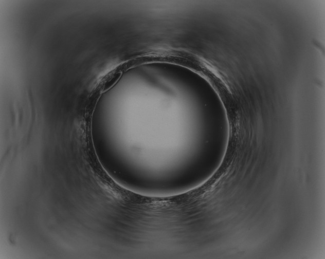 X0000093121304200709261320