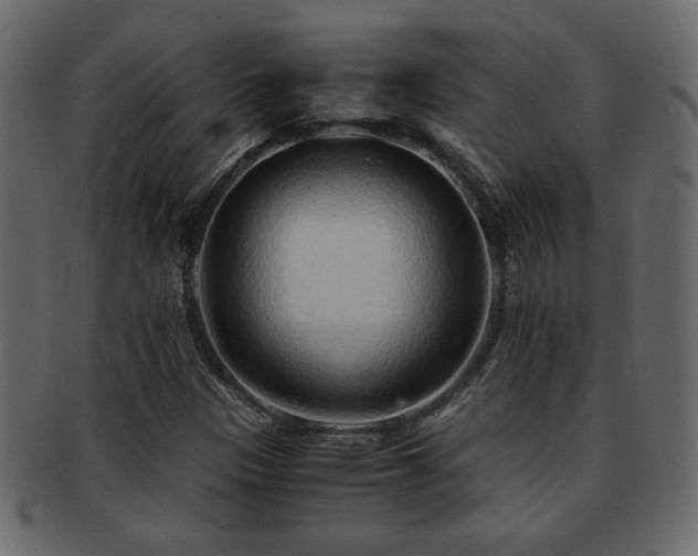 X0000093121305200709261320