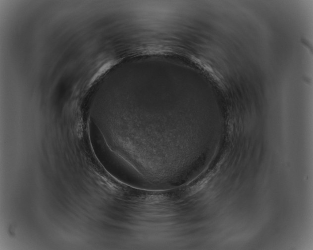 X0000093121306200709261320