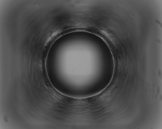 X0000093121307200709261320