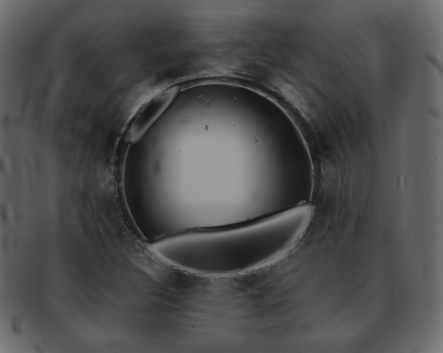 X0000093121308200709261320