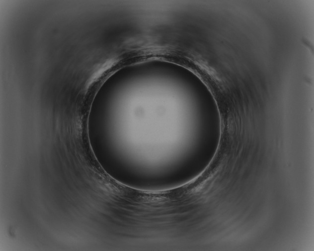 X0000093121309200709261320