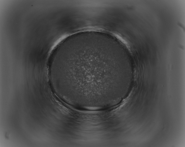 X0000093121310200709261320