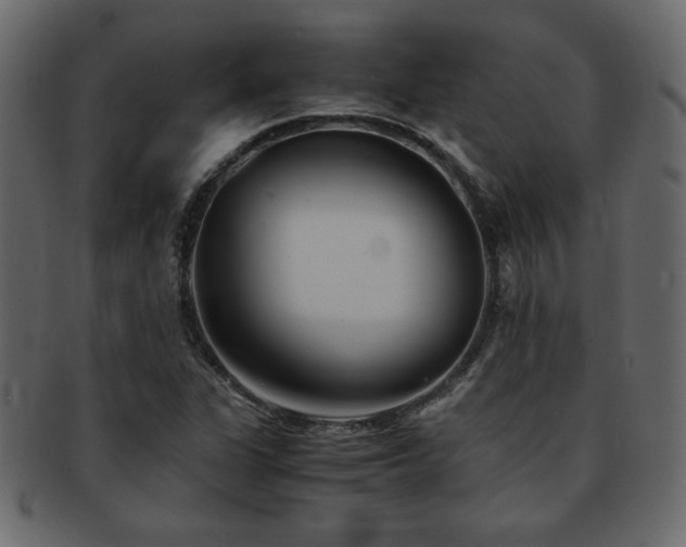 X0000093121311200709261320
