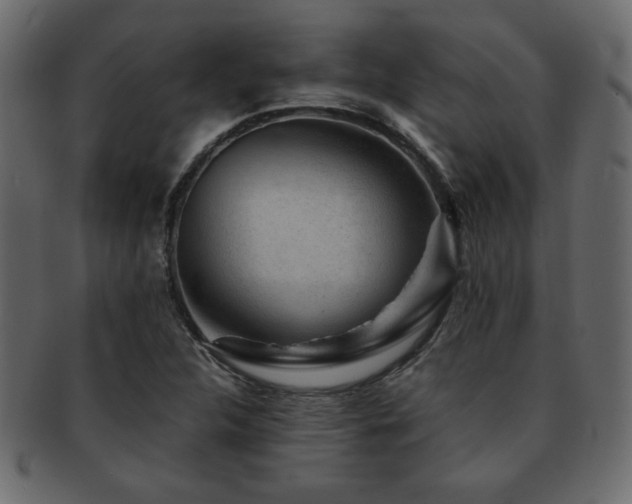 X0000093121312200709261320