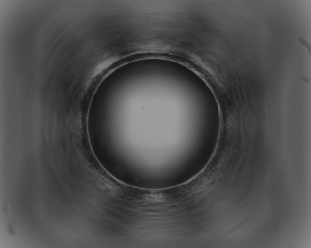 X0000093121315200709261320