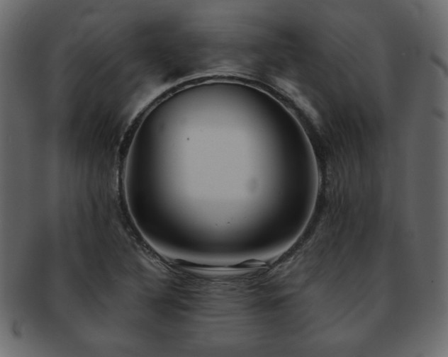 X0000093121316200709261320