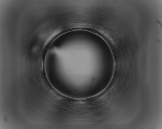 X0000093121317200709261320