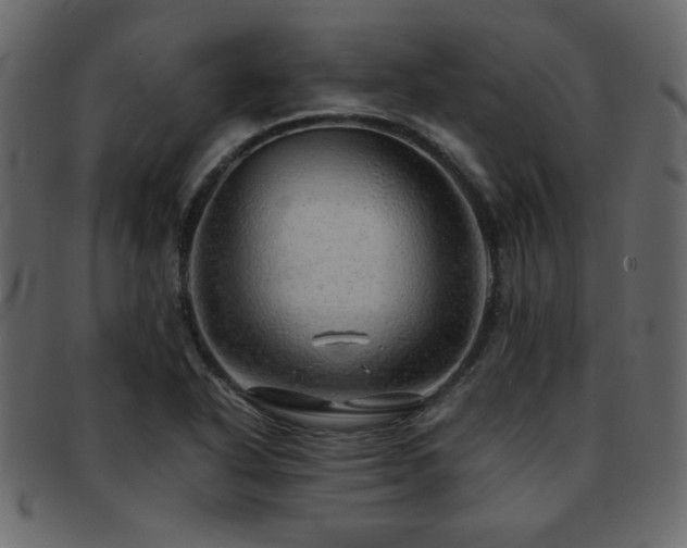 X0000093121318200709261320