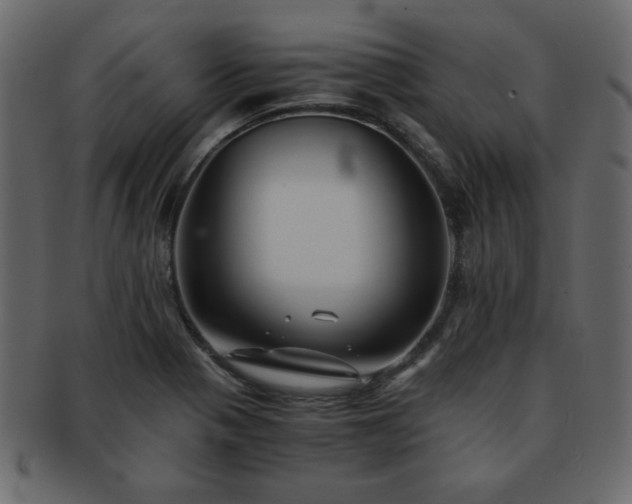 X0000093121321200709261320