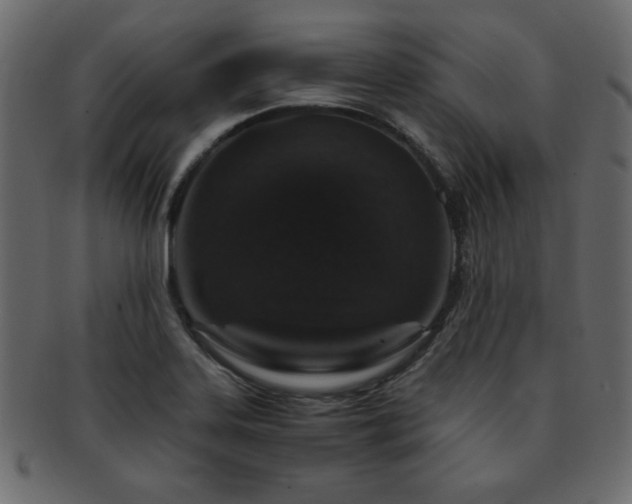X0000093121323200709261320