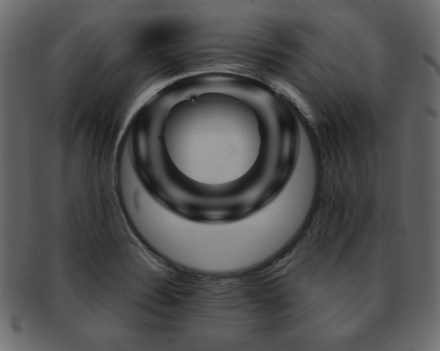 X0000093121324200709261320
