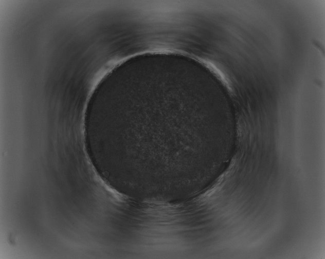 X0000093121327200709261320
