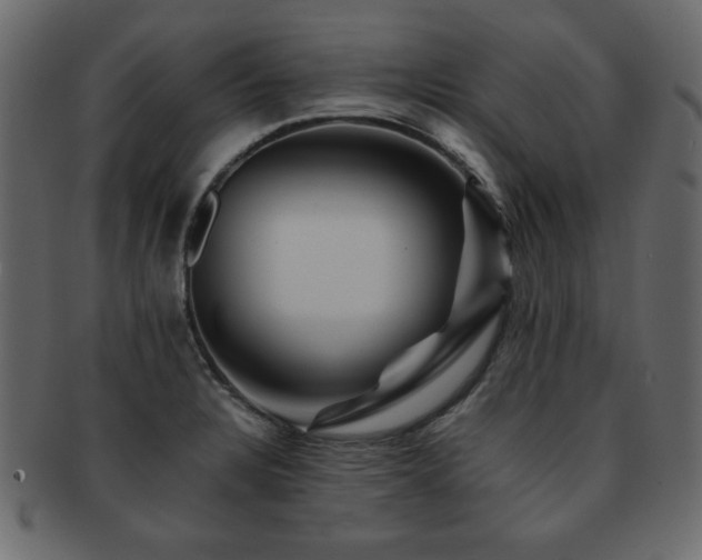 X0000093121328200709261320
