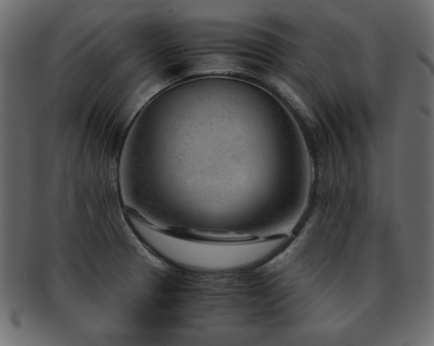 X0000093121329200709261320