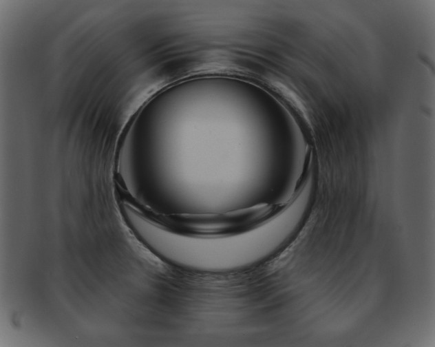 X0000093121330200709261320