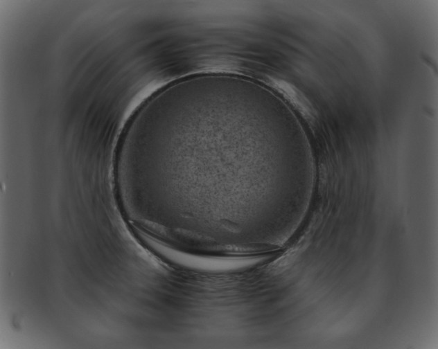 X0000093121331200709261320