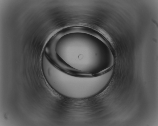 X0000093121332200709261320