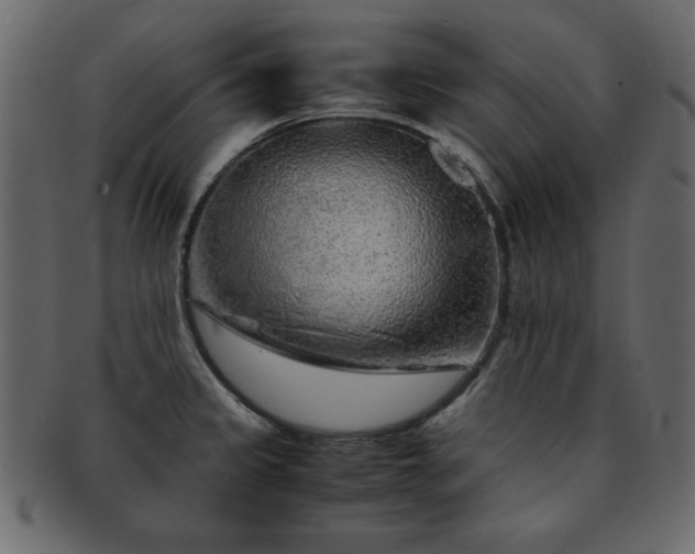 X0000093121333200709261320