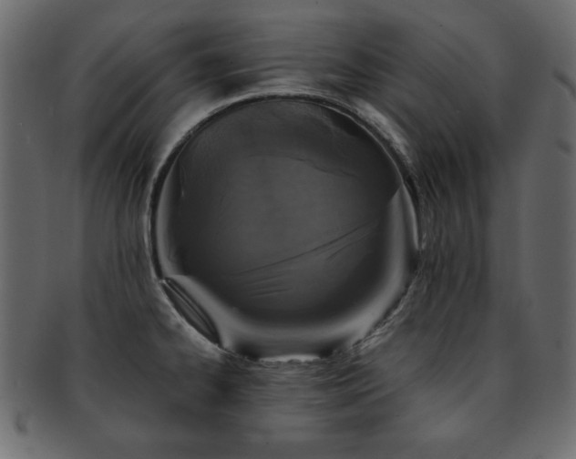 X0000093121334200709261320