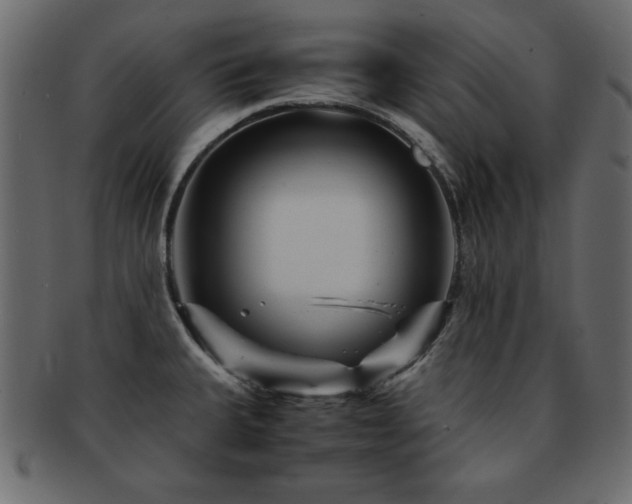 X0000093121335200709261320