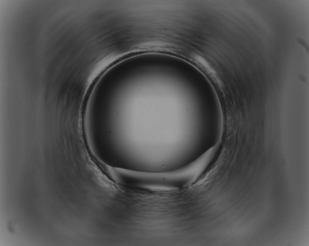 X0000093121336200709261320